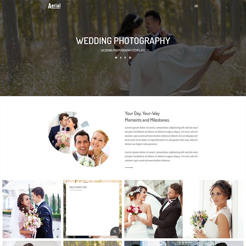 Aerial - Wedding Photography Website Template