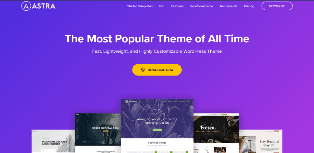 WordPress Job Board Themes