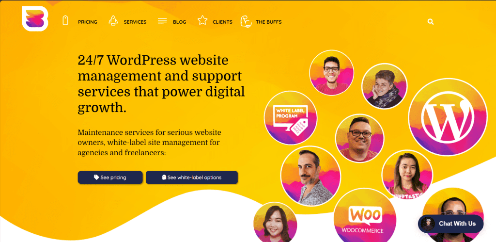 WordPress Support Service